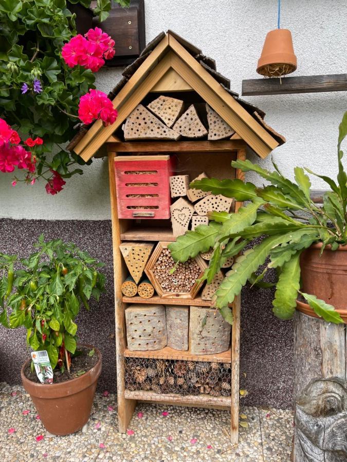 Ferienwohnung Sonnschein Bad Mitterndorf Eksteriør billede