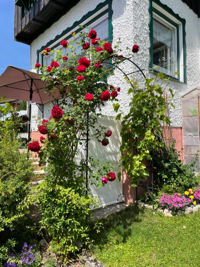 Ferienwohnung Sonnschein Bad Mitterndorf Eksteriør billede