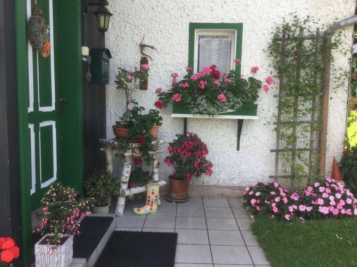 Ferienwohnung Sonnschein Bad Mitterndorf Eksteriør billede